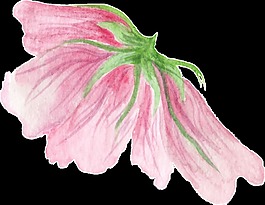 甜蜜粉色花朵透明素材