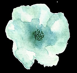 暖春开放花卉卡通水彩透明素材