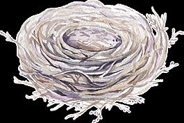 創(chuàng)意鳥窩卡通水彩透明素材