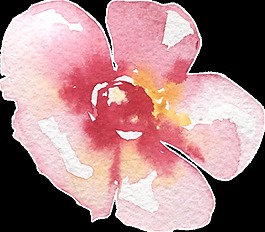 可愛粉色花卉卡通水彩透明素材