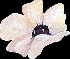 白色碎花卡通水彩透明素材
