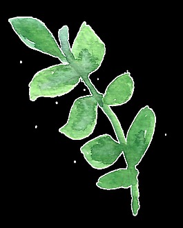 水嫩綠枝卡通水彩透明素材