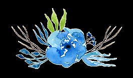 藍(lán)色水墨植物卡通水彩透明素材