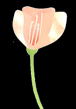 情人節(jié)浪漫花卉卡通水彩透明素材