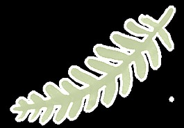 植物插畫卡通水彩透明素材