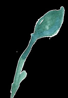 春季藝術(shù)樹葉卡通水彩透明素材