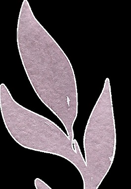 紫色葉子透明素材