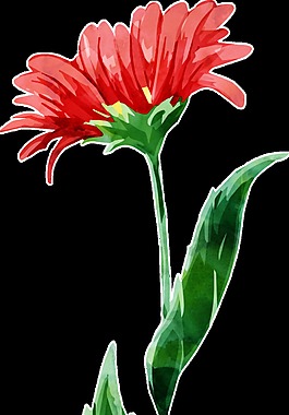 紅色盛開太陽花透明素材