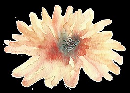 水粉花蕊卡通水彩透明素材