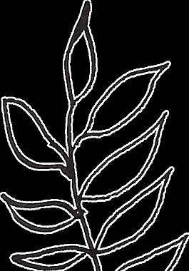 黑色線條植物水彩透明素材