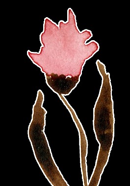 藝術(shù)涂鴉花卉卡通水彩透明素材