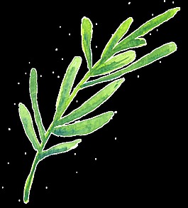 綠色清新植物卡通水彩透明素材