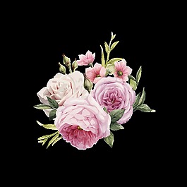 粉色茶花卡通水彩透明素材