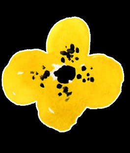 黃色花卉水彩透明素材