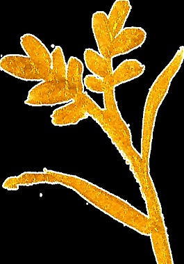 金色高雅植物水彩透明素材