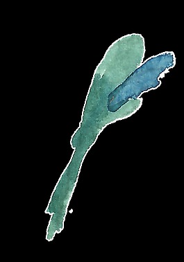 筆刷水彩涂鴉透明素材