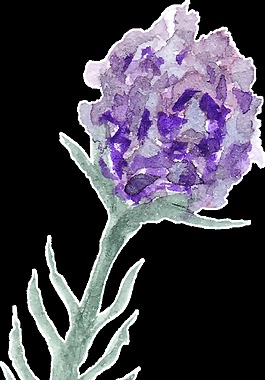 水紫花束卡通水彩透明素材