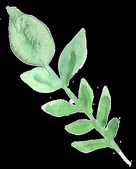 綠色桃花卡通水彩透明素材
