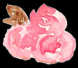 金黃花蕊卡通水彩透明素材