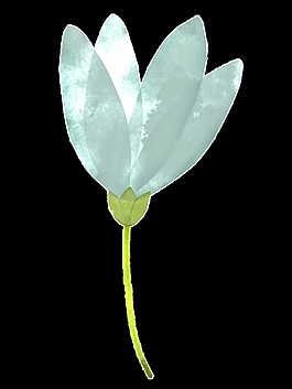 優(yōu)雅芬芳花卉卡通水彩透明素材