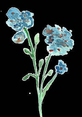 紅點(diǎn)花束卡通水彩透明素材