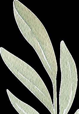 飛揚(yáng)綠葉卡通水彩透明素材