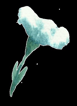 雪白絨花卡通水彩透明素材