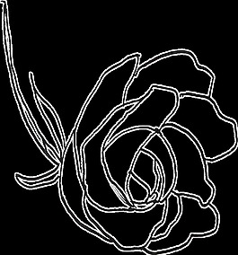 素描花蕊卡通水彩透明素材