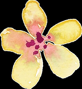 金黃花瓣卡通水彩透明素材