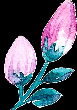 冰藍(lán)花枝卡通水彩透明素材