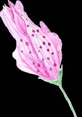 紅點(diǎn)花蕊卡通水彩透明素材