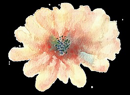黃粉花蕊卡通水彩透明素材