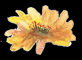 黃色藝術(shù)花卡通水彩透明素材