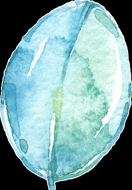 水粉藍(lán)葉卡通水彩透明素材