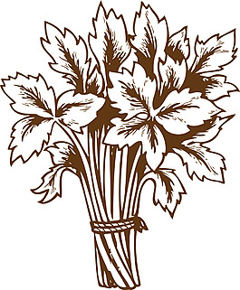 素描花卉免抠素材