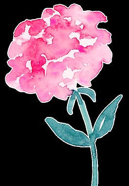 粉色花卉卡通透明素材