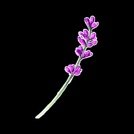 一束花卉卡通透明素材