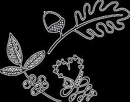 手繪植物卡通透明素材