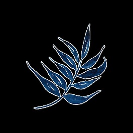 樹葉透明素材