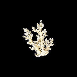 水生植物卡通透明素材