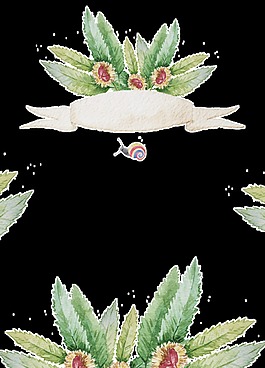 熱帶樹(shù)葉緞帶卡通透明素材