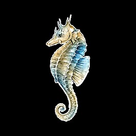 可愛海馬卡通透明素材