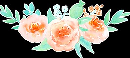 優(yōu)雅盛開(kāi)花卉卡通透明素材