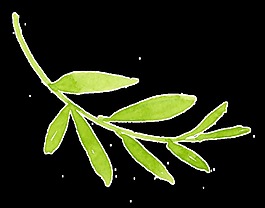 春季樹(shù)葉卡通透明素材