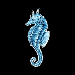 藍(lán)色海馬透明素材