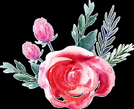 藝術(shù)花卉卡通透明素材
