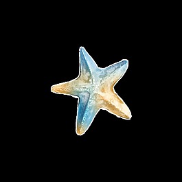 美麗海星卡通透明素材