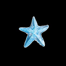 藍色海星卡通透明素材
