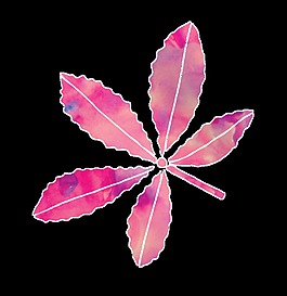 粉色櫻花樹葉卡通透明素材