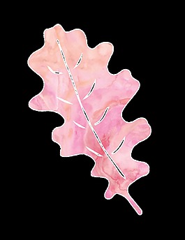 粉色創(chuàng)意樹葉通透明素材